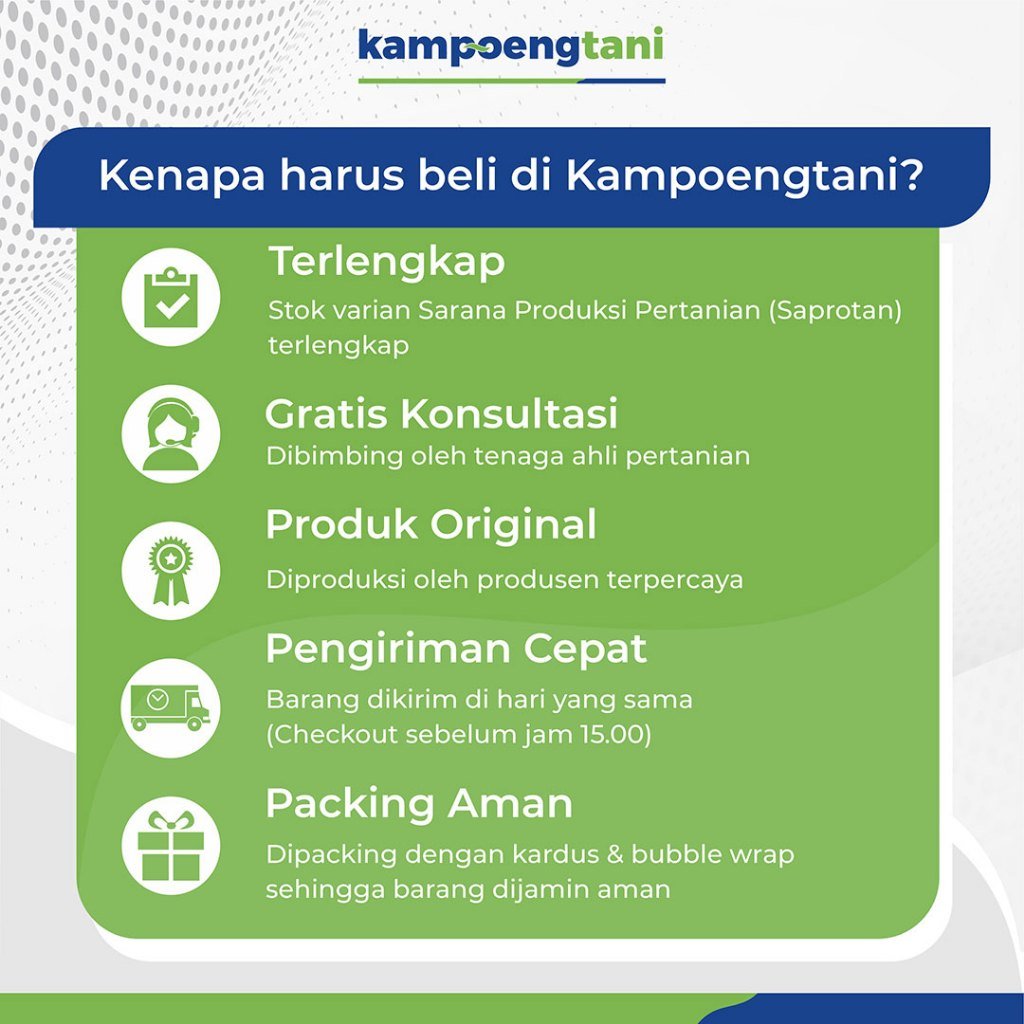 knp harus beli produk knp harus beli produk